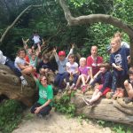 Class Tree