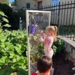 Outdoor School (2)