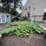 Outdoor School (7)